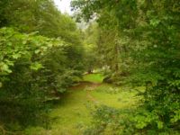 2014-08-02_06FritzPflaum-Steig (443).JPG